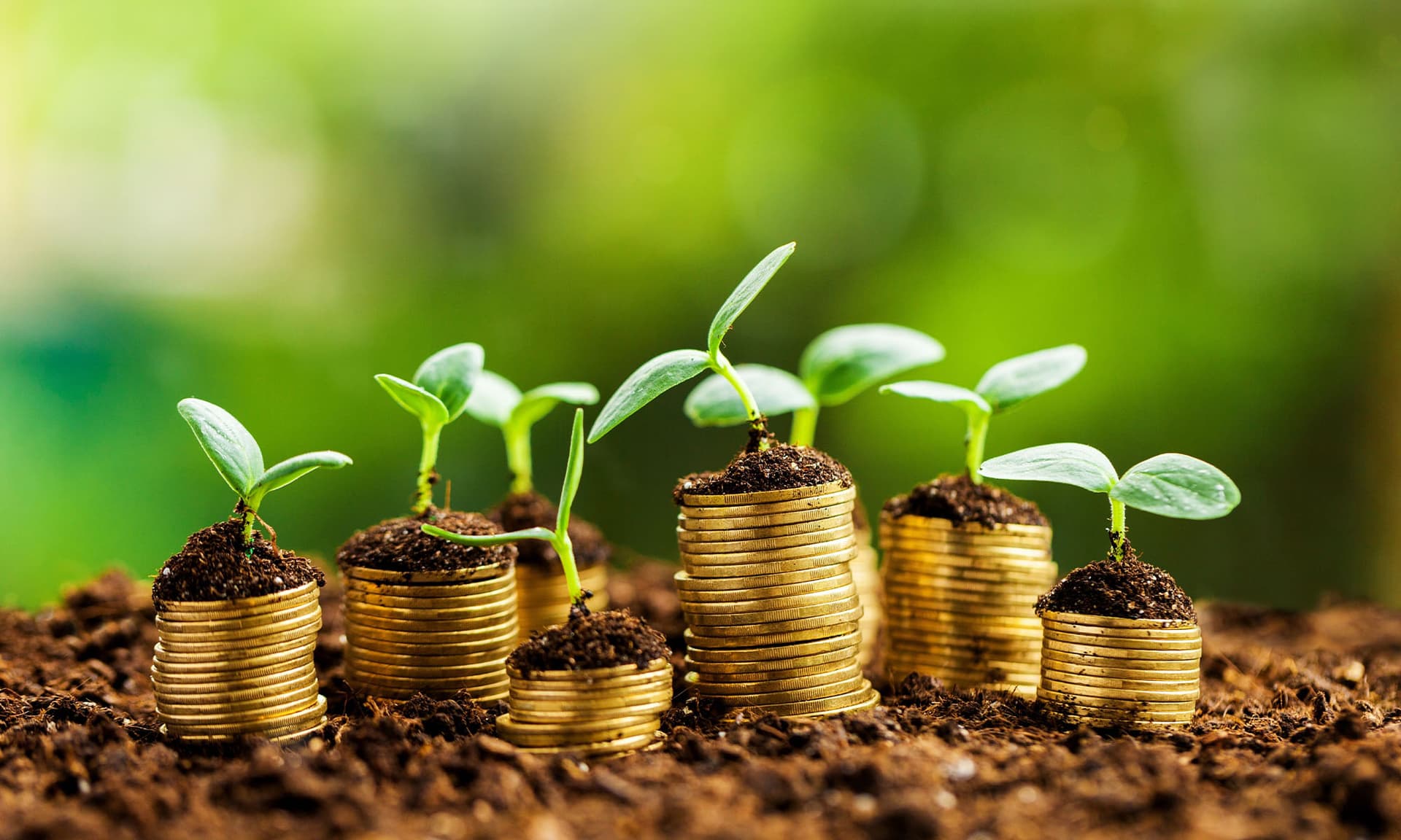 Why Loan Readiness is Different from Credit Repair